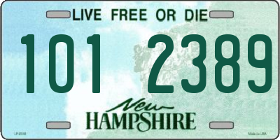 NH license plate 1012389