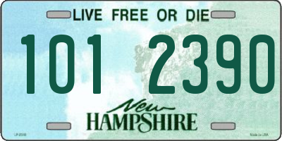 NH license plate 1012390