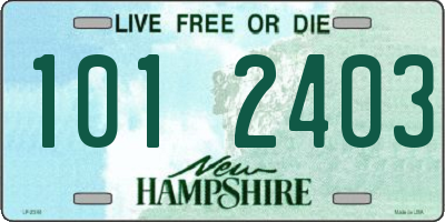 NH license plate 1012403