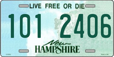 NH license plate 1012406