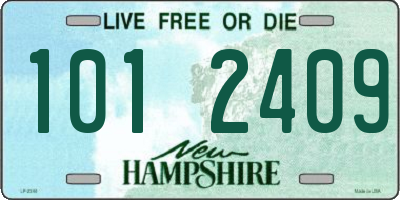 NH license plate 1012409