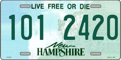 NH license plate 1012420
