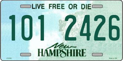 NH license plate 1012426