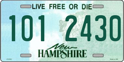 NH license plate 1012430