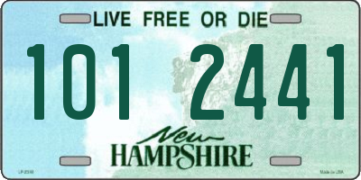 NH license plate 1012441