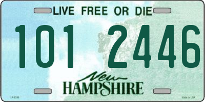 NH license plate 1012446