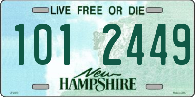 NH license plate 1012449