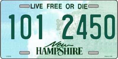 NH license plate 1012450