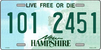 NH license plate 1012451