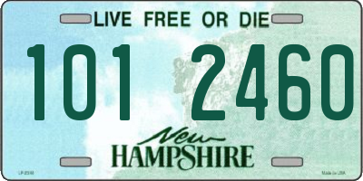 NH license plate 1012460