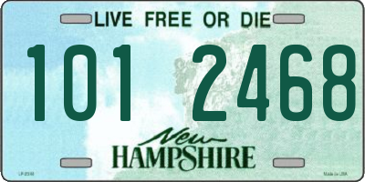 NH license plate 1012468