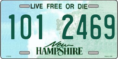 NH license plate 1012469