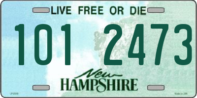 NH license plate 1012473