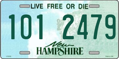 NH license plate 1012479