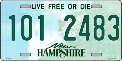 NH license plate 1012483