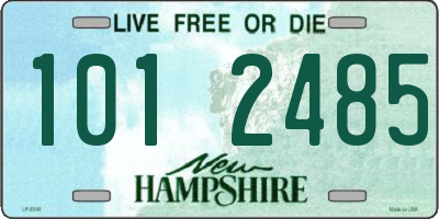 NH license plate 1012485