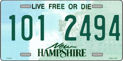 NH license plate 1012494