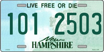 NH license plate 1012503