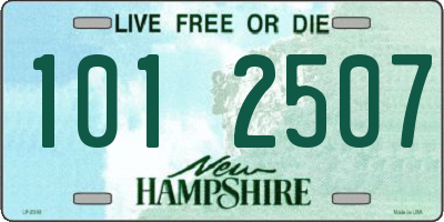 NH license plate 1012507