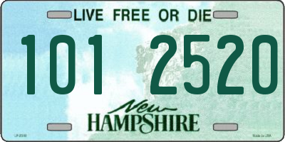 NH license plate 1012520