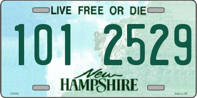 NH license plate 1012529