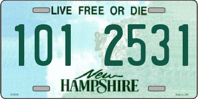 NH license plate 1012531