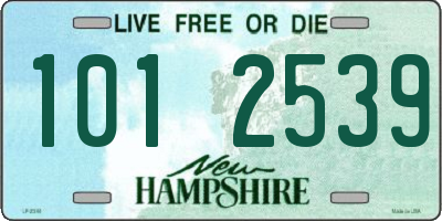 NH license plate 1012539