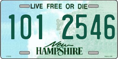 NH license plate 1012546