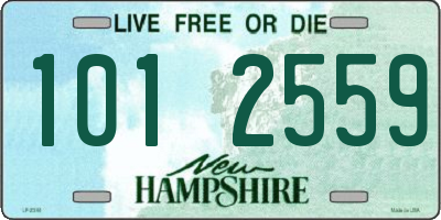 NH license plate 1012559