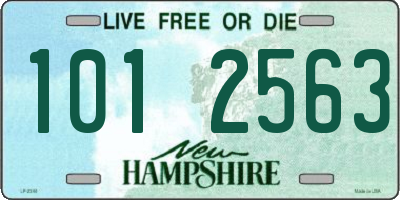 NH license plate 1012563