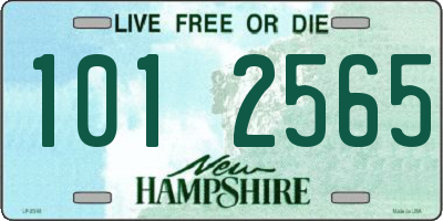 NH license plate 1012565