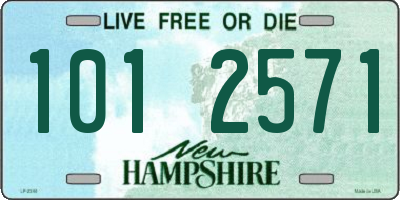 NH license plate 1012571