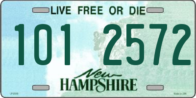 NH license plate 1012572