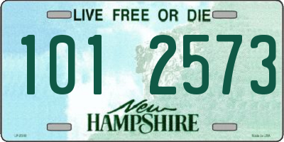 NH license plate 1012573