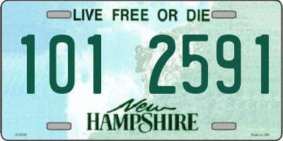 NH license plate 1012591