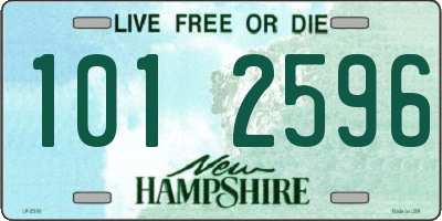 NH license plate 1012596