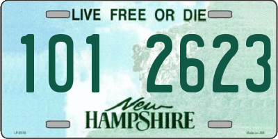 NH license plate 1012623