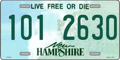 NH license plate 1012630