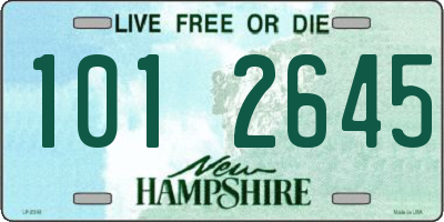 NH license plate 1012645