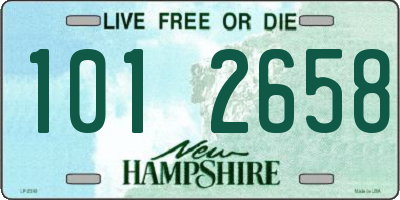 NH license plate 1012658