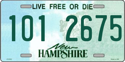 NH license plate 1012675