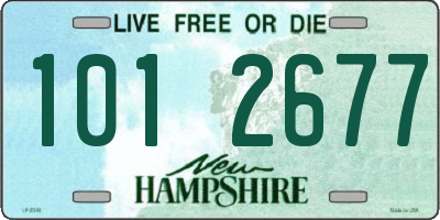 NH license plate 1012677