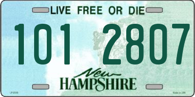 NH license plate 1012807