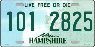 NH license plate 1012825