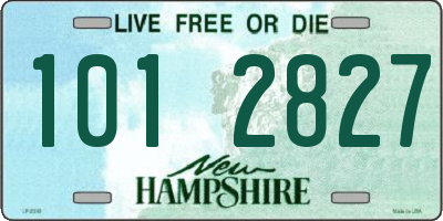 NH license plate 1012827