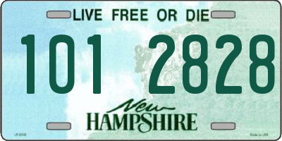 NH license plate 1012828