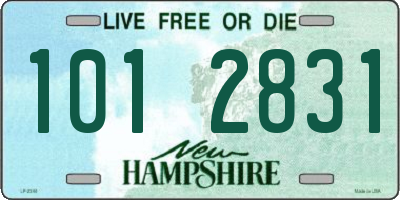 NH license plate 1012831