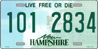 NH license plate 1012834