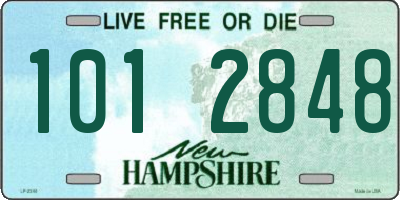 NH license plate 1012848