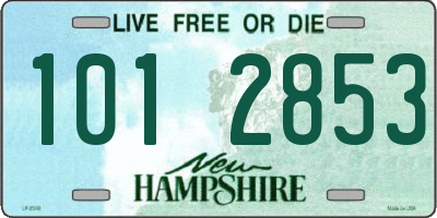 NH license plate 1012853